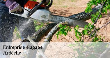 Entreprise élagage 07 Ardèche Debord elagage