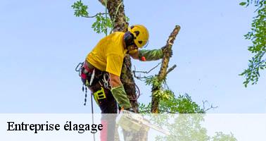 Entreprise élagage 07 Ardèche Debord elagage