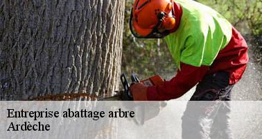 Entreprise abattage arbre 07 Ardèche Debord elagage