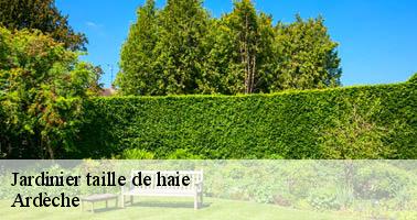 Jardinier taille de haie 07 Ardèche Debord elagage
