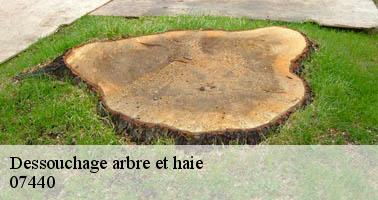 Dessouchage arbre et haie  alboussiere-07440 Debord elagage