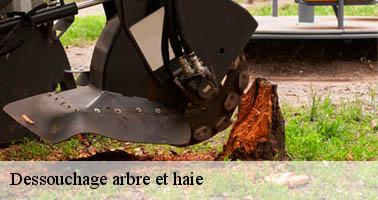 Dessouchage arbre et haie  alboussiere-07440 Debord elagage