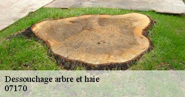 Dessouchage arbre et haie  lavilledieu-07170 Debord elagage