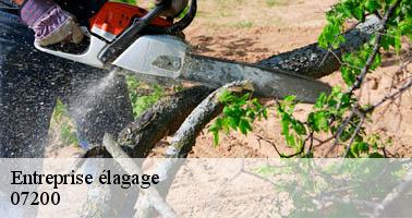 Entreprise élagage saint-maurice-d-ardeche-07200 Debord elagage