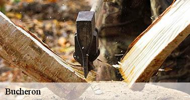 Bucheron lesperon-07660 Debord elagage