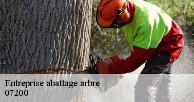 Entreprise abattage arbre  ailhon-07200 Debord elagage