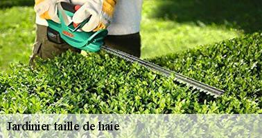 Jardinier taille de haie devesset-07320 Debord elagage