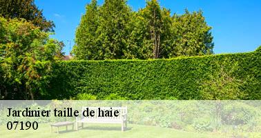Jardinier taille de haie  saint-pierreville-07190 Debord elagage